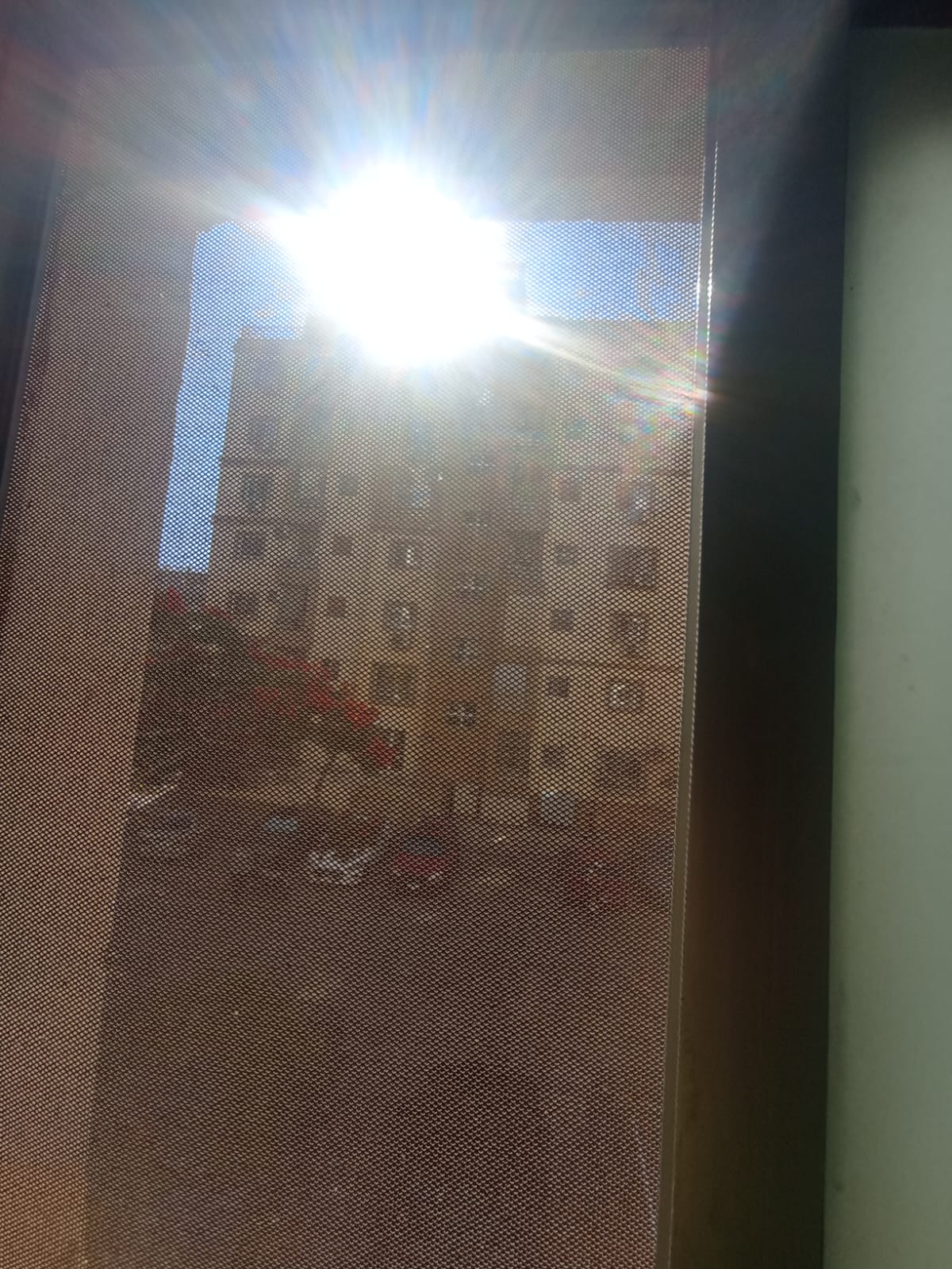 1000156425