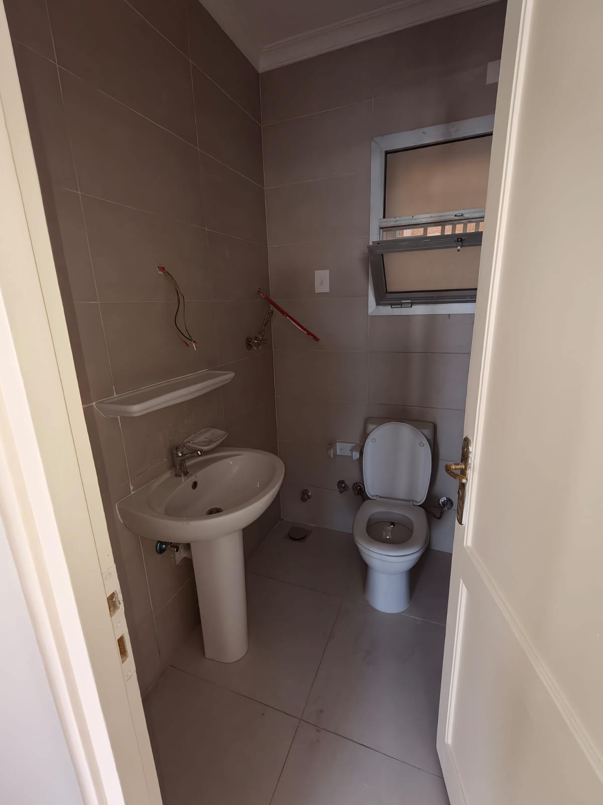 1000237273